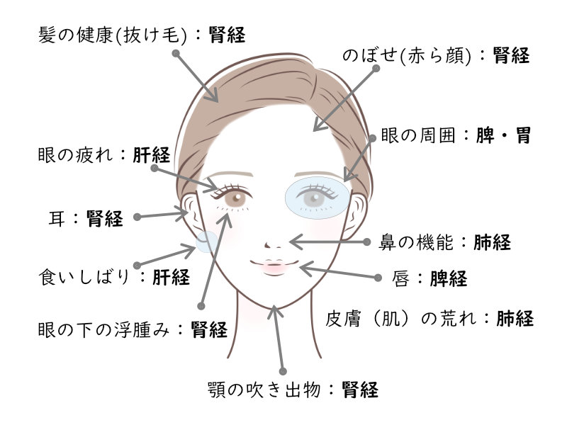 ソフトタッチ美容鍼つぼ